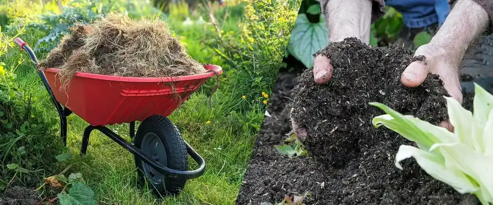 Greenhouses composting application