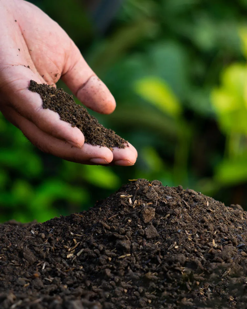 On-Site Food Composters