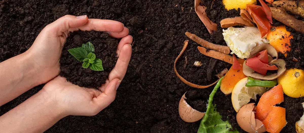 TMK-100 Food Composting Machine in context