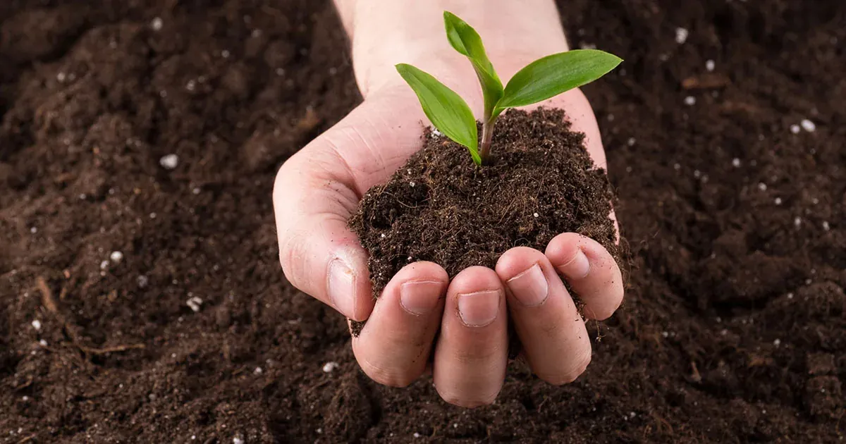 Food Processing composting application