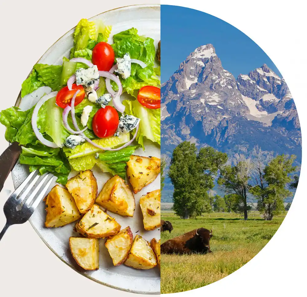 Food on a plate beside open grassland,
illustrating the food waste to soil cycle