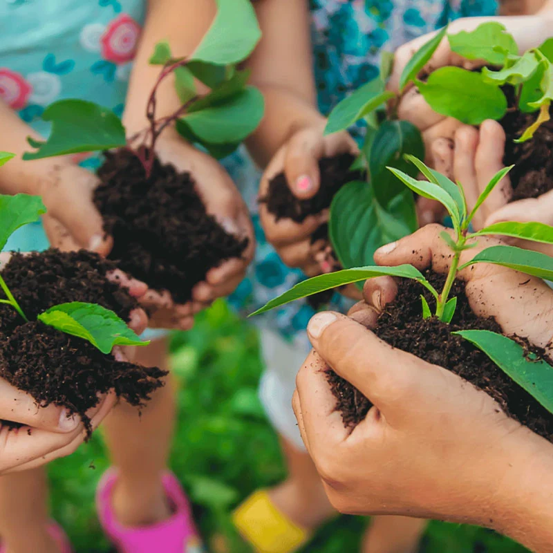 Organic waste composting in the animal mortality sector