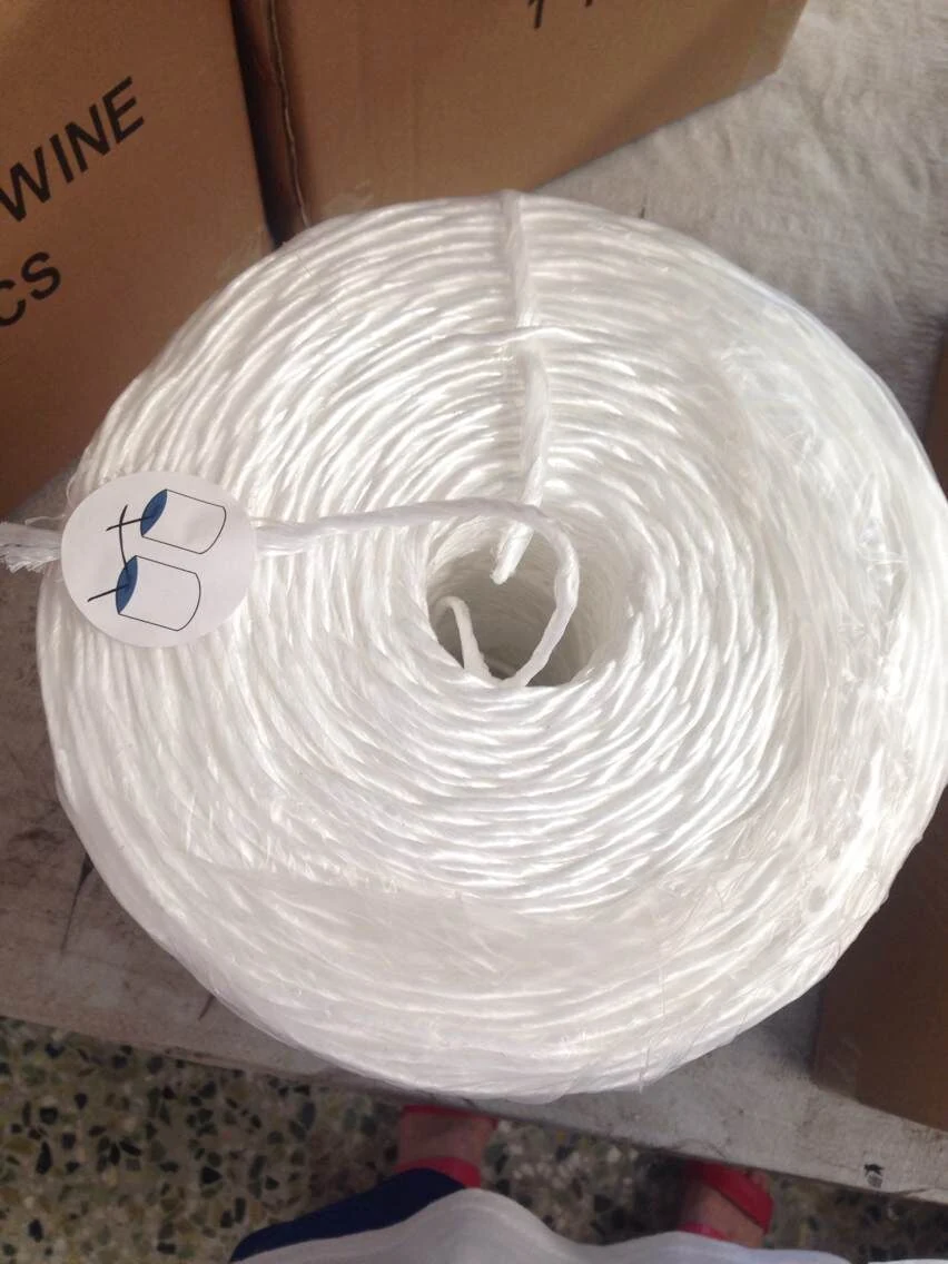 Coil of baler twine in its shipping carton