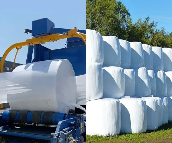 Bales wrapped in silage film stacked beside a bale wrapper