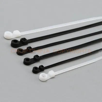 Nylon cable tie with mountable head