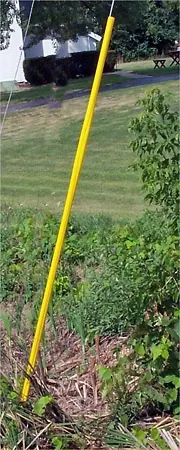GUY GUARD (YELLOW), overlap type view