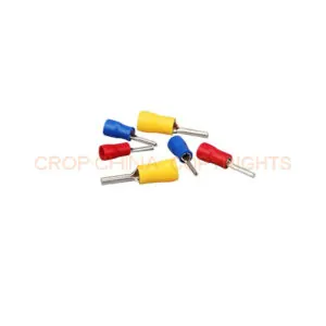 Ferrule