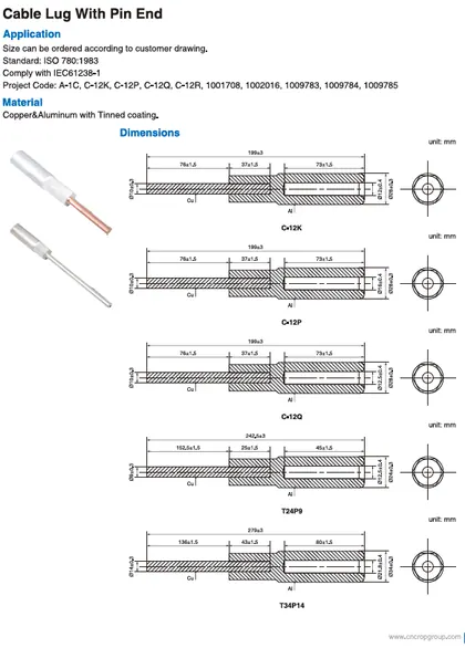 Cable Lugs Pin Type view
