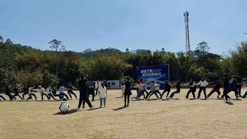 Datolink team activity