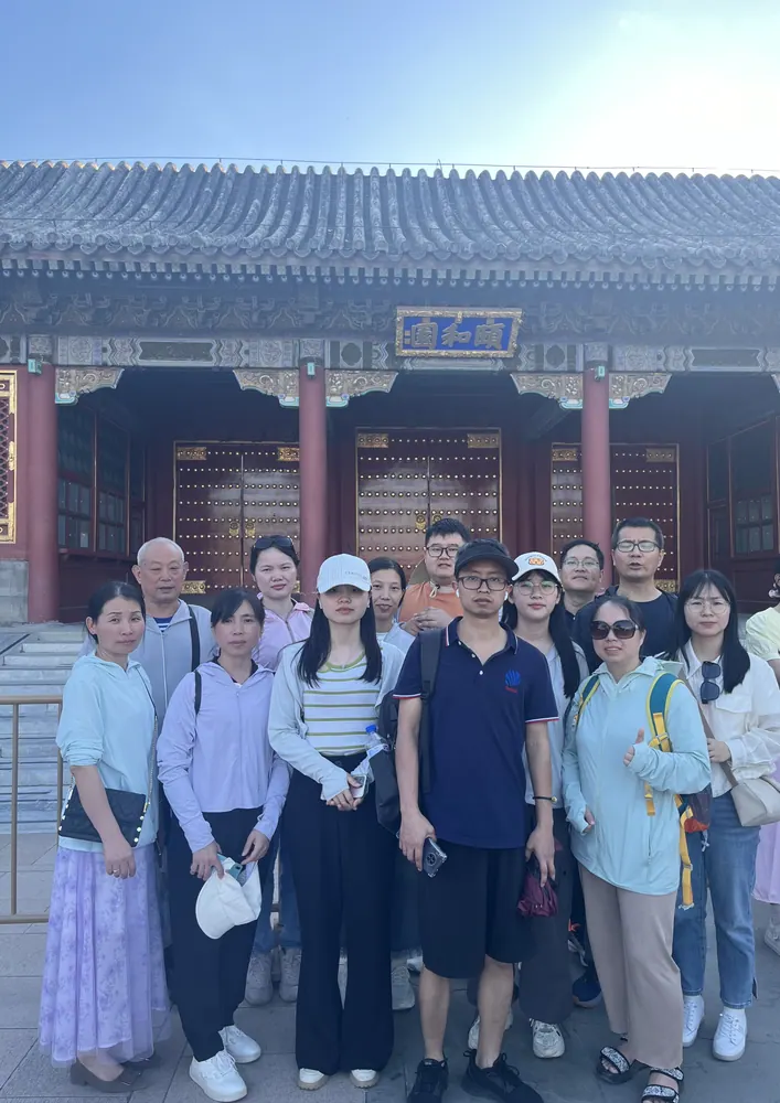 Datolink team activity