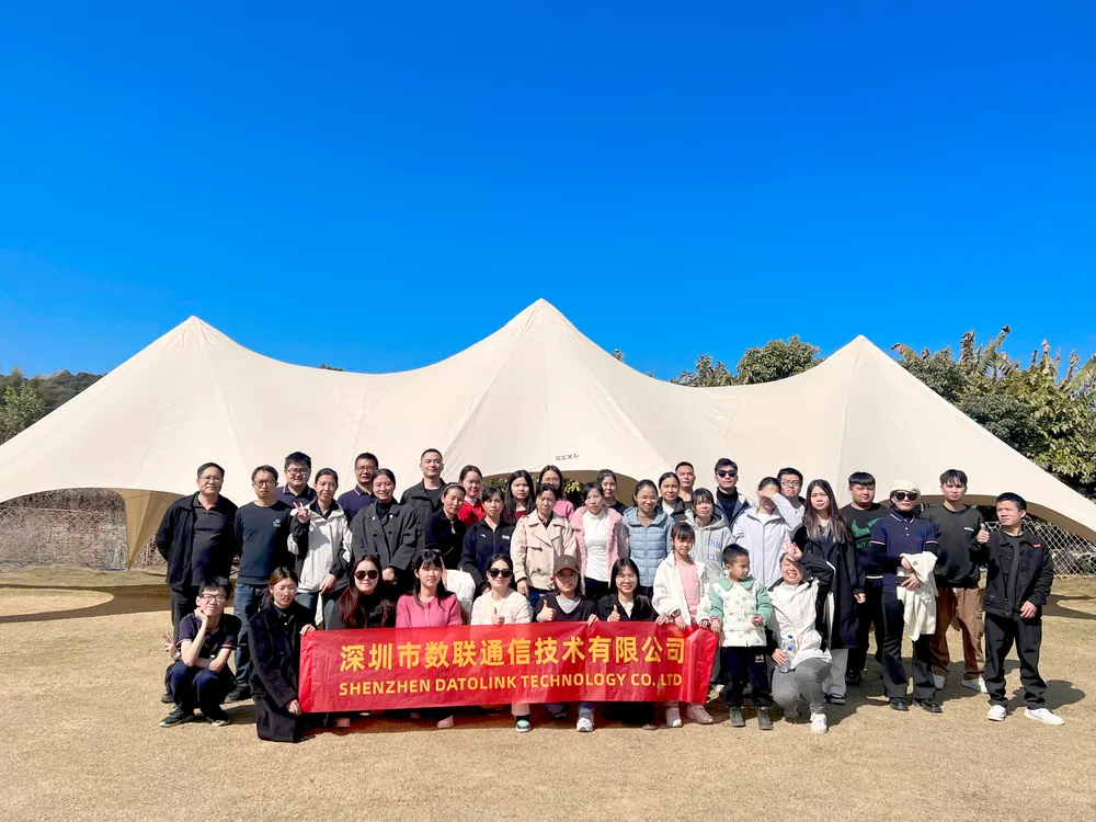 Datolink team activity