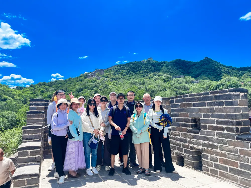 Datolink team activity