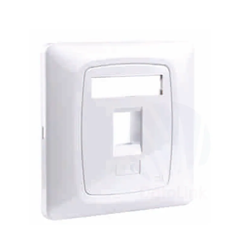 1 Ports,86 Type Face Plate