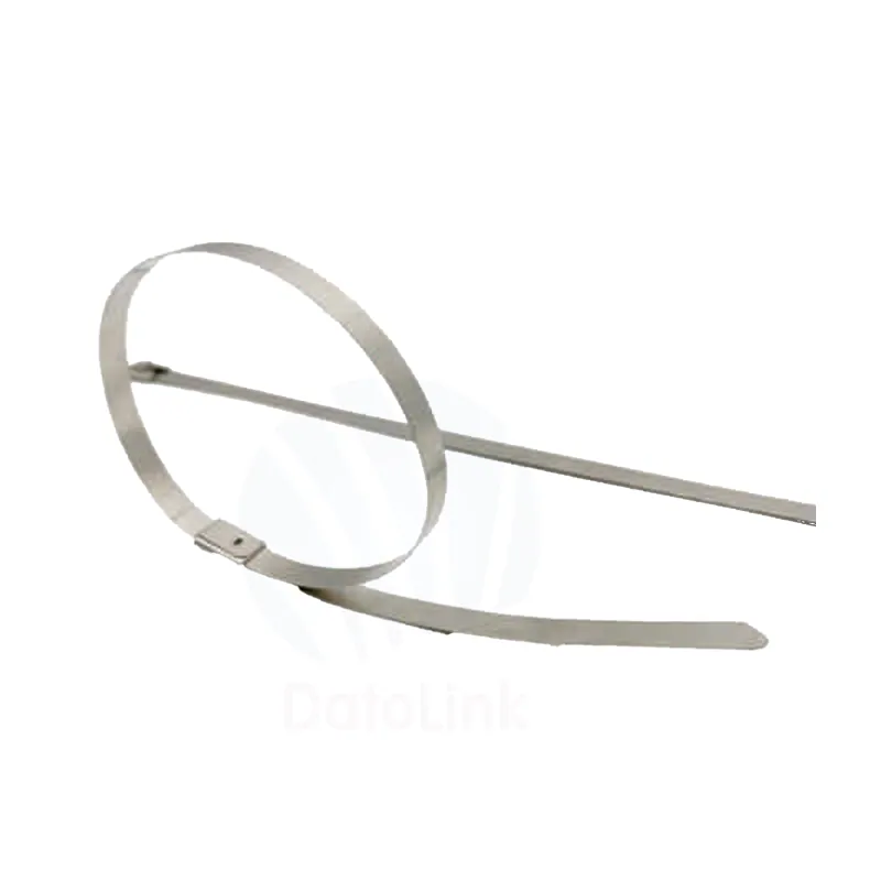 Stainless Steel Cable Tie