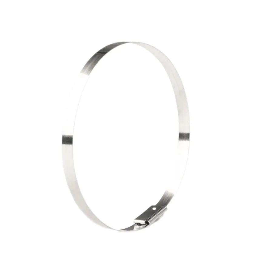 Stainless Steel Cable Tie