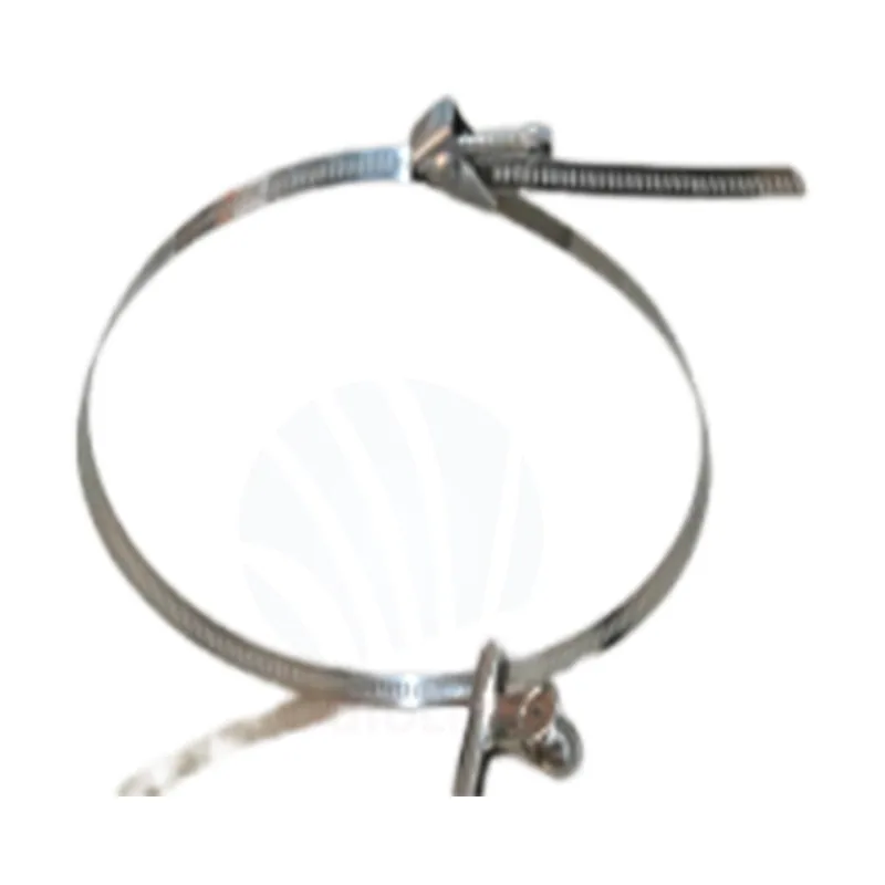 Hoop Ring