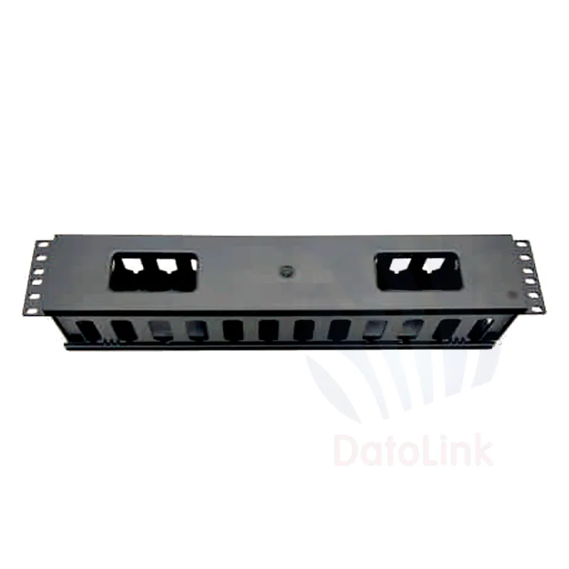 2U 12 Port Single Sided Cable Management