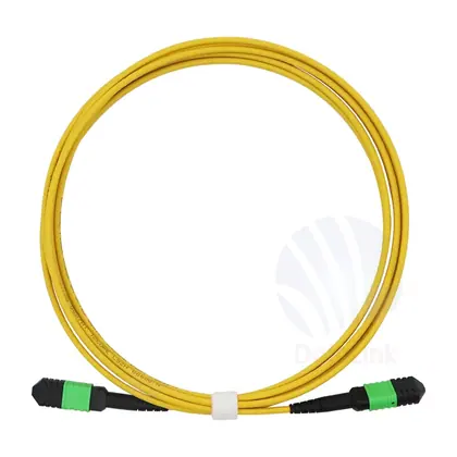 MPO-MPO SM Patch Cord