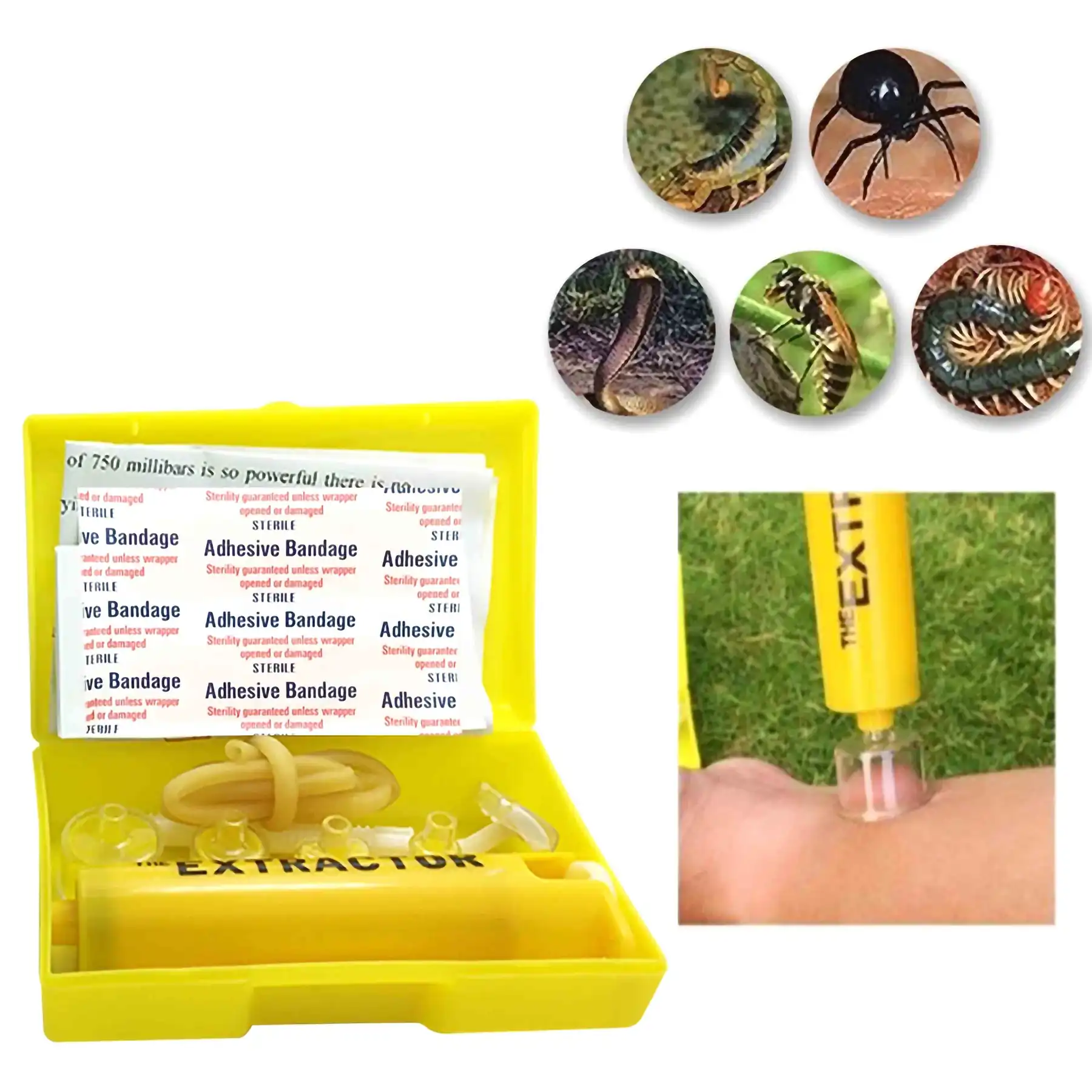 Toxin Extractor product photo