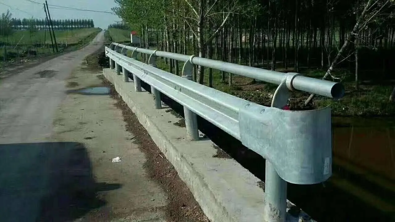 Galvanized W-beam highway guardrail with tubular handrail installed along a rural roadside.