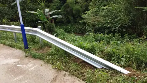 Galvanized W-beam highway guardrail on posts along a roadside edge with dense green vegetation behind