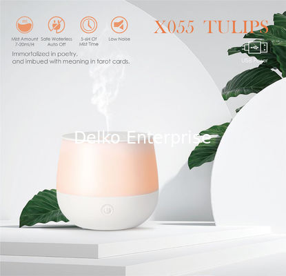 Imagine rechargeable diffuser 80 ml (iridescent)