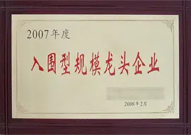 Government approval certificate naming the company a leading enterprise