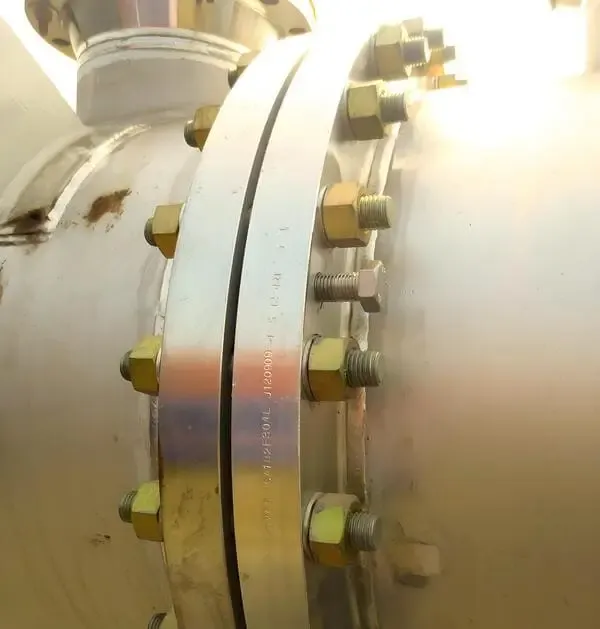 Fast Delivery Stainless Steel Flanges for Chemical Industry