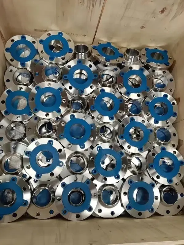 Stainless Steel Flanges: Standards, Materials, and Applications in Piping Systems