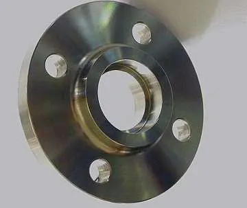 Stainless Steel Pipe Flanges