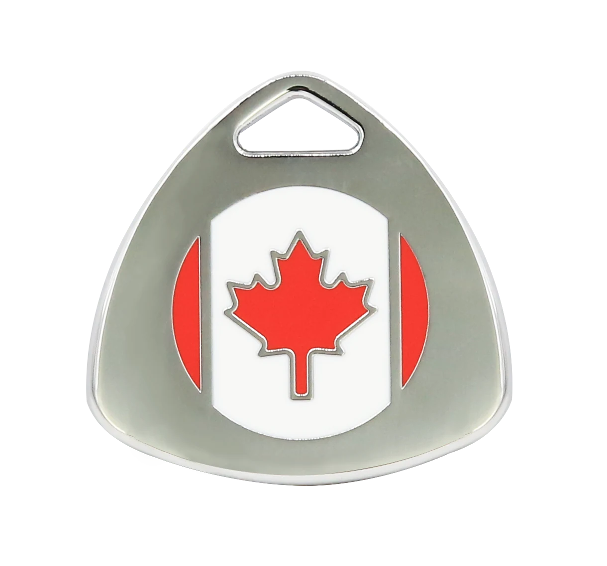 Pet ID tag with a cat and dog icon, silver finish