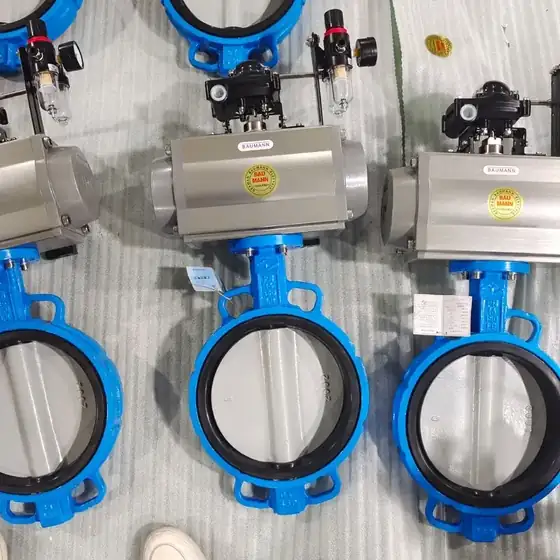 Pneumatic rotary actuator mounted on control valve assembly with NAMUR air supply ports