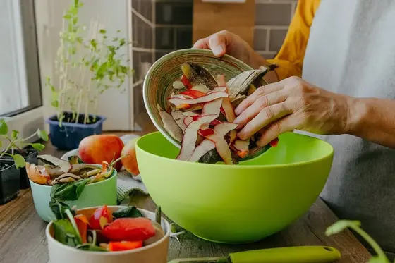 Household Composters - Countertop food recyclers and electric composters for homes