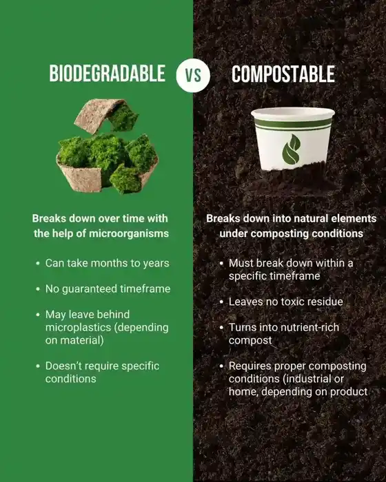 Why food waste in landfill is a climate problem