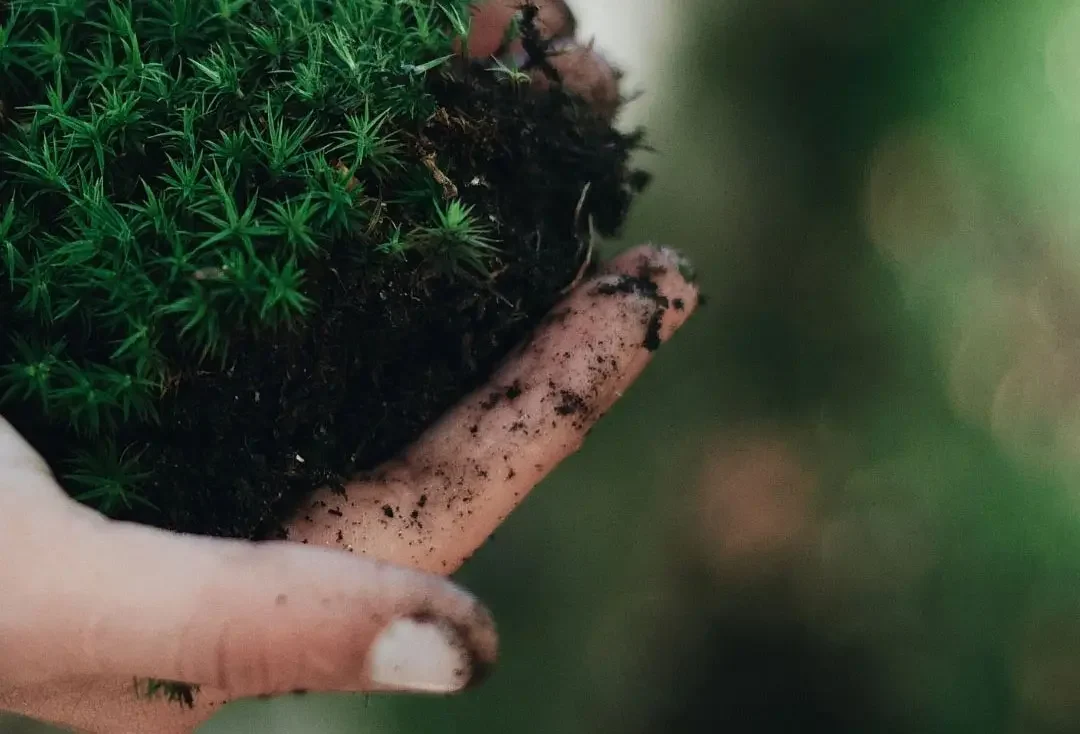 On-Site Composting Systems