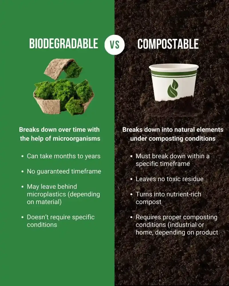 Why food waste in landfill is a climate problem