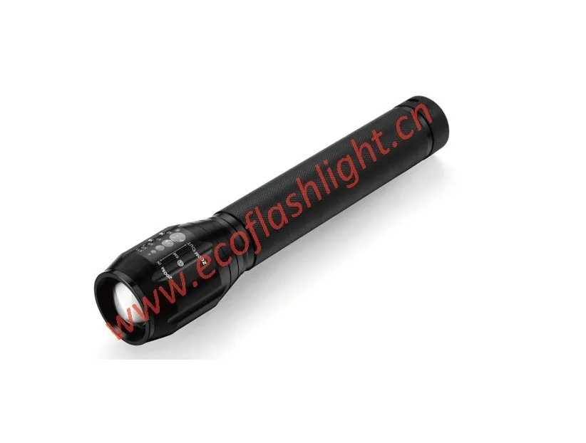 10W LED Torch — ECO-SG2312DT6-10W LED light made by Ecogreen International Co., Ltd