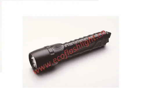 6W LED Flashlight — ECO-AP01C
