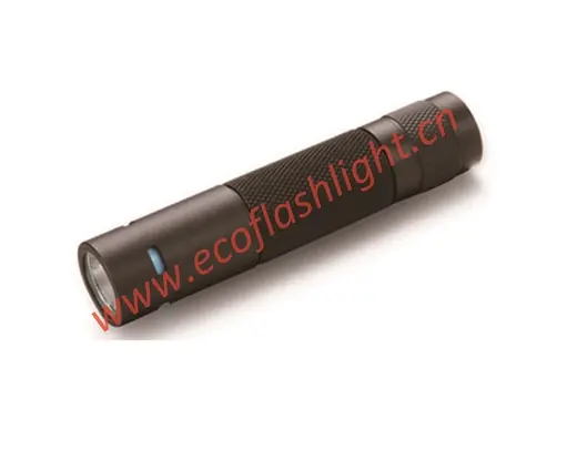 UV Flashlight — ECO-P020UV