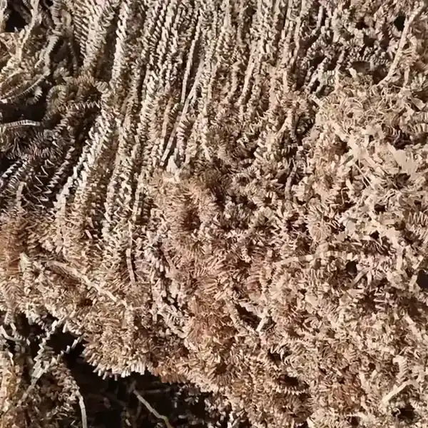 Paper Shredding Machine