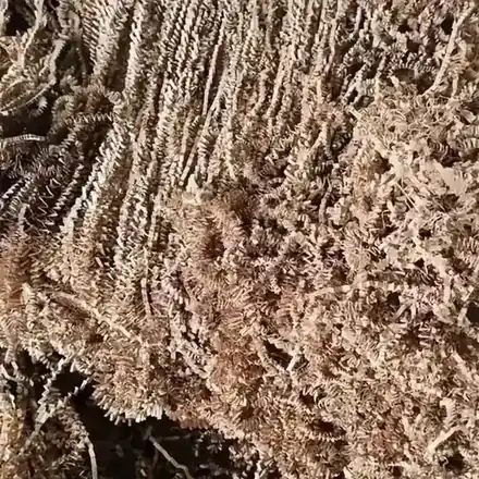 Paper Shredding Machine