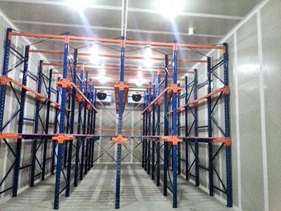 1,643 m² Controlled-Atmosphere Cold Storage — Howcool delivered cold storage project