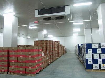 Fruit & Vegetable Wholesale Cold Storage — Howcool delivered cold storage project