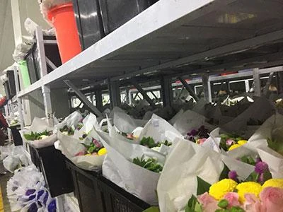 Natural Flower Cold Storage Warehouse — Howcool delivered cold storage project