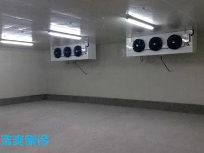 Concentrated Tea Liquid Quick Freezing Room — Howcool delivered cold storage project