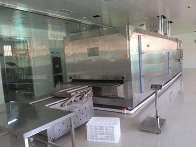 Quick Freezing Food Tunnel Freezer — Howcool delivered cold storage project