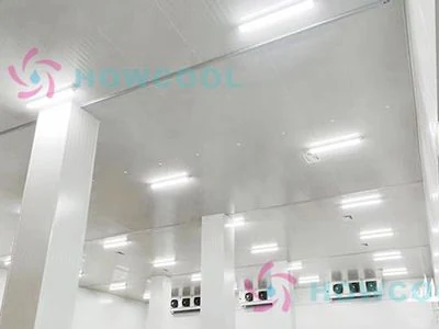 7,000m³ Cold Storage — Tianjin Food Industry — Howcool delivered cold storage project
