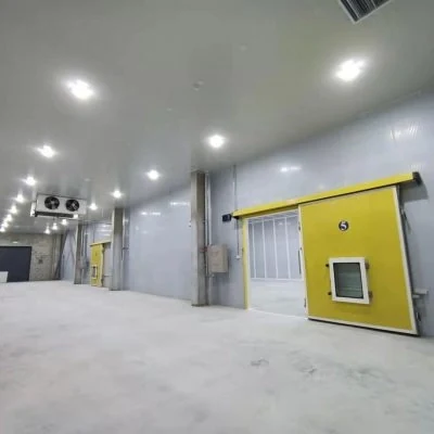 Electric Sliding Cold Storage Door — photograph 2