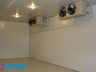 Seafood & Vegetable Quick Freezing Room — Howcool delivered cold storage project