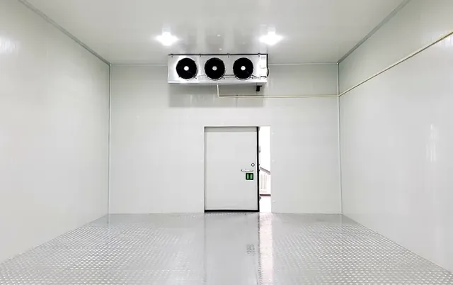 -65℃ Ultra-Low Temperature Pharmaceutical Cold Storage — Howcool delivered cold storage project